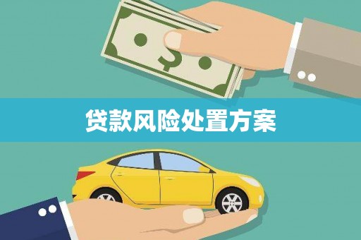 德钦贷款风险处置方案