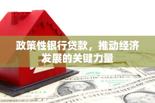 德钦政策性银行贷款，推动经济发展的关键力量