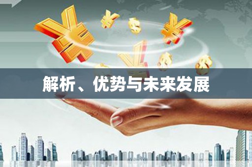 德钦解析、优势与未来发展