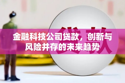 德钦金融科技公司贷款，创新与风险并存的未来趋势
