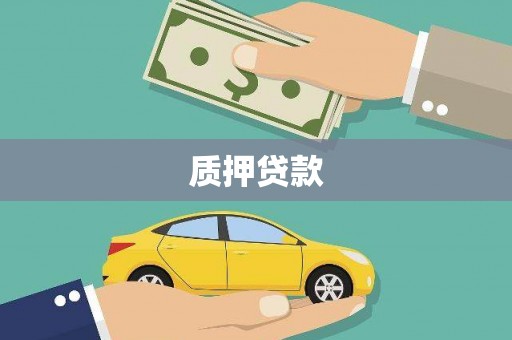 德钦质押贷款