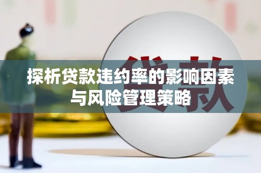 德钦探析贷款违约率的影响因素与风险管理策略