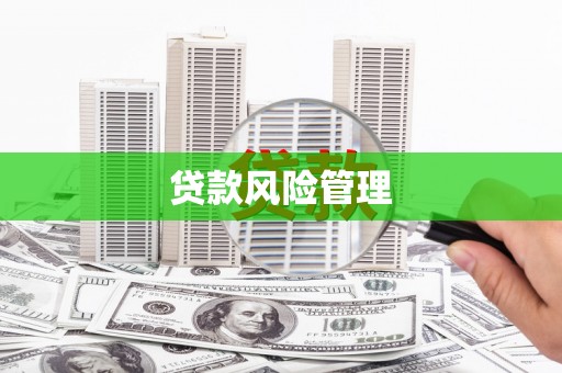 德钦贷款风险管理
