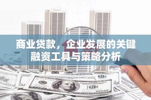 德钦商业贷款，企业发展的关键融资工具与策略分析