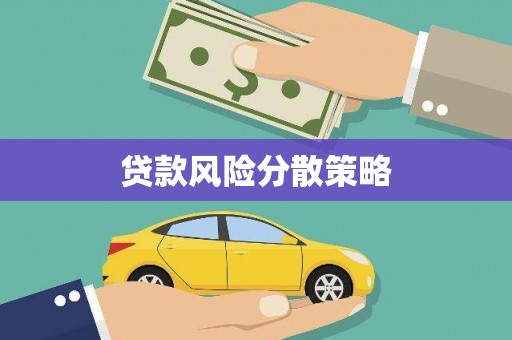 德钦贷款风险分散策略