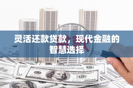 德钦灵活还款贷款，现代金融的智慧选择