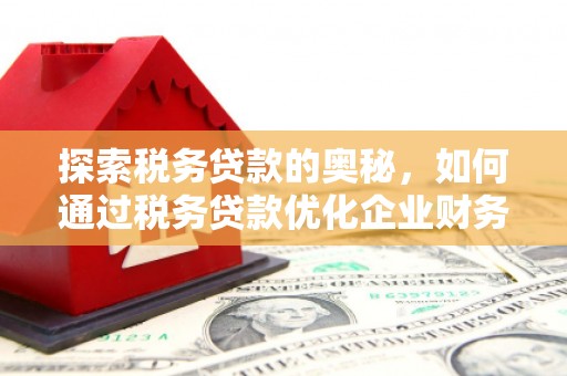 德钦探索税务贷款的奥秘，如何通过税务贷款优化企业财务