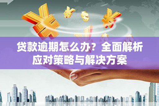 德钦贷款逾期怎么办？全面解析应对策略与解决方案