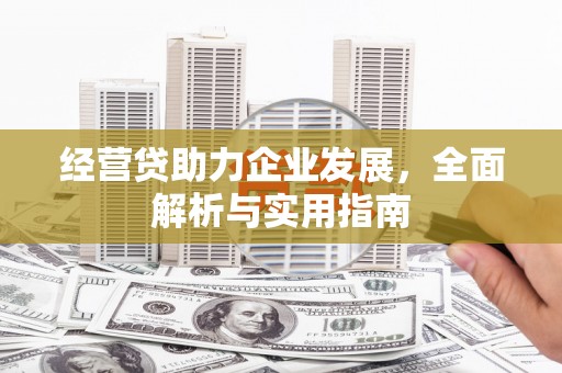 德钦经营贷助力企业发展，全面解析与实用指南