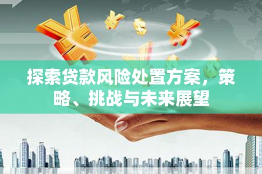 德钦探索贷款风险处置方案，策略、挑战与未来展望