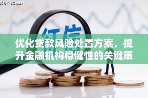 德钦优化贷款风险处置方案，提升金融机构稳健性的关键策略