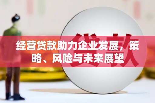 德钦经营贷款助力企业发展，策略、风险与未来展望