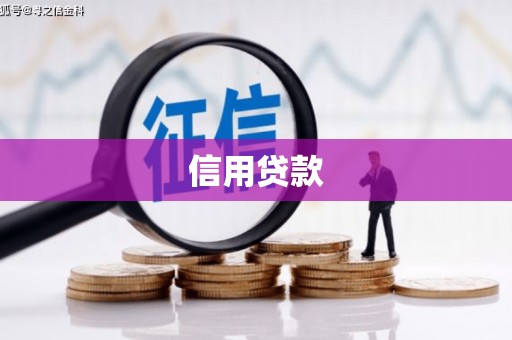 德钦信用贷款