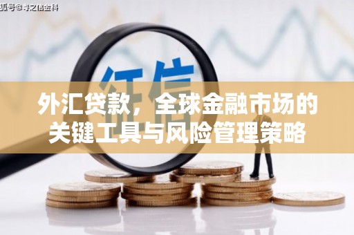 德钦外汇贷款，全球金融市场的关键工具与风险管理策略