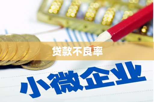 德钦贷款不良率