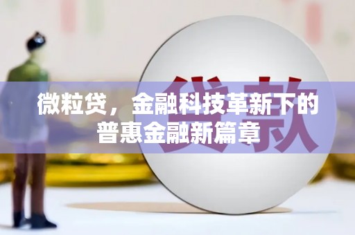 德钦微粒贷，金融科技革新下的普惠金融新篇章