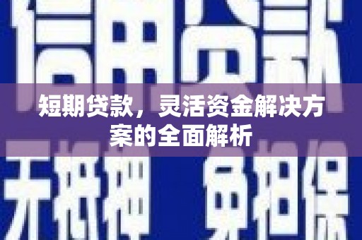 德钦短期贷款，灵活资金解决方案的全面解析