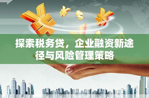 德钦探索税务贷，企业融资新途径与风险管理策略
