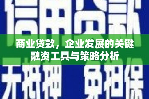 德钦商业贷款，企业发展的关键融资工具与策略分析
