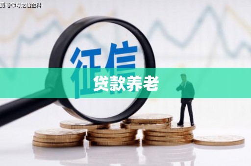 德钦贷款养老