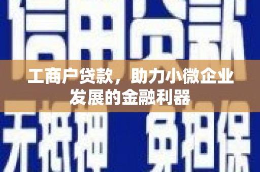德钦工商户贷款，助力小微企业发展的金融利器