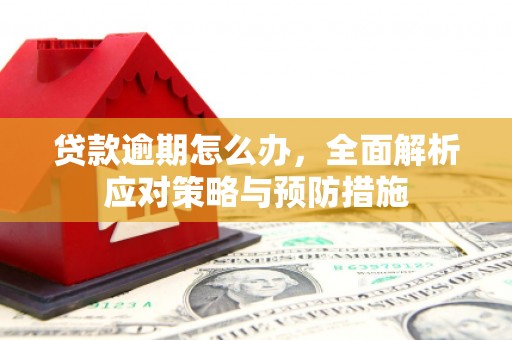 德钦贷款逾期怎么办，全面解析应对策略与预防措施