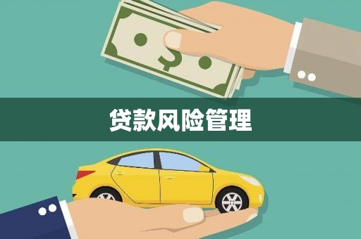 德钦贷款风险管理