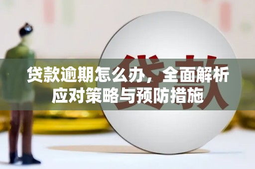 德钦贷款逾期怎么办，全面解析应对策略与预防措施