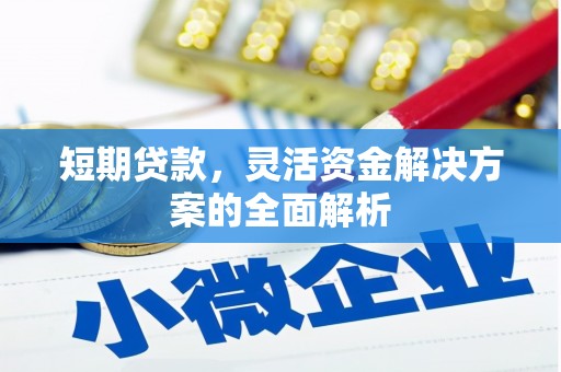 德钦短期贷款，灵活资金解决方案的全面解析