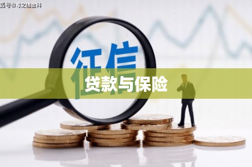 德钦贷款与保险