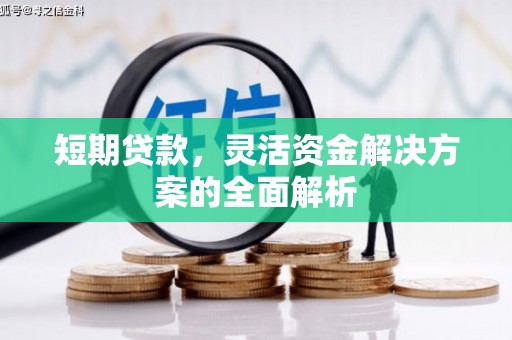 德钦短期贷款，灵活资金解决方案的全面解析