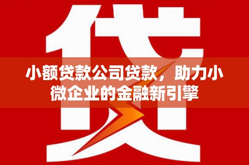 德钦小额贷款公司贷款，助力小微企业的金融新引擎