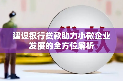 德钦建设银行贷款助力小微企业发展的全方位解析