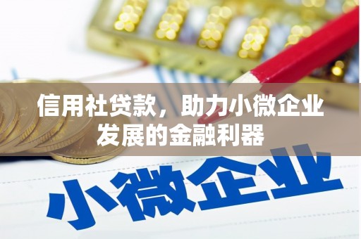 德钦信用社贷款，助力小微企业发展的金融利器