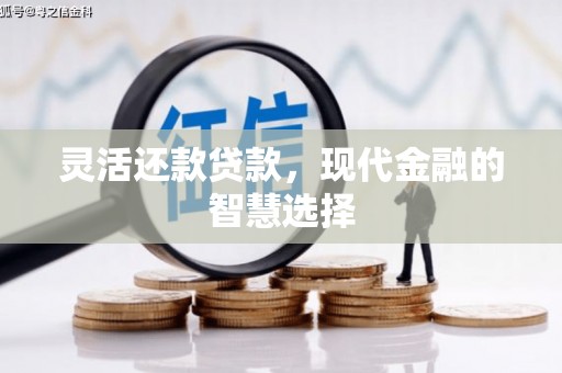 德钦灵活还款贷款，现代金融的智慧选择