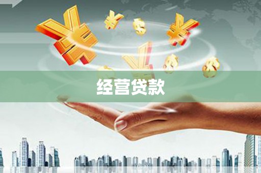德钦经营贷款