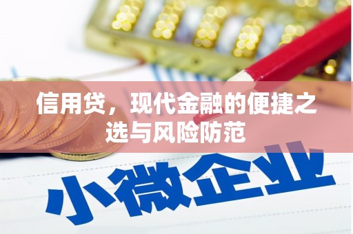 德钦信用贷，现代金融的便捷之选与风险防范