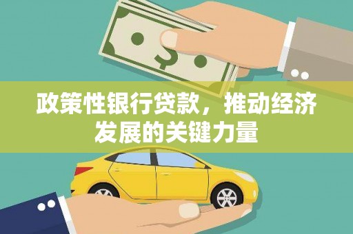 德钦政策性银行贷款，推动经济发展的关键力量