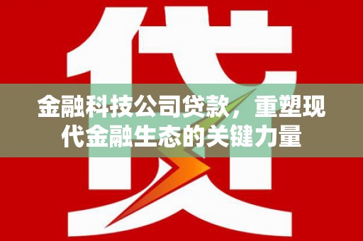 德钦金融科技公司贷款，重塑现代金融生态的关键力量