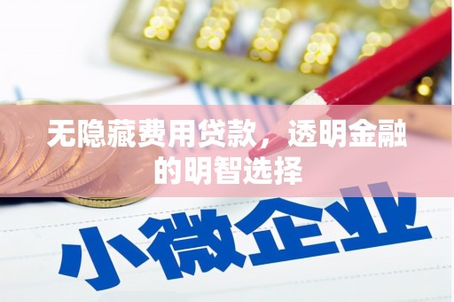 德钦无隐藏费用贷款，透明金融的明智选择
