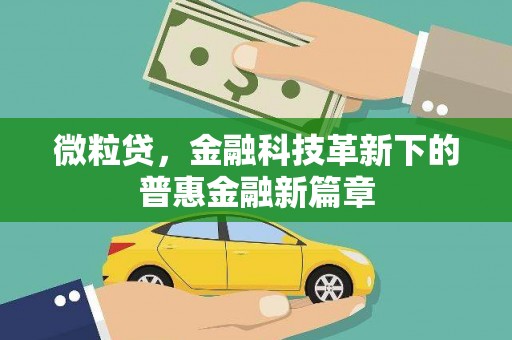 德钦微粒贷，金融科技革新下的普惠金融新篇章