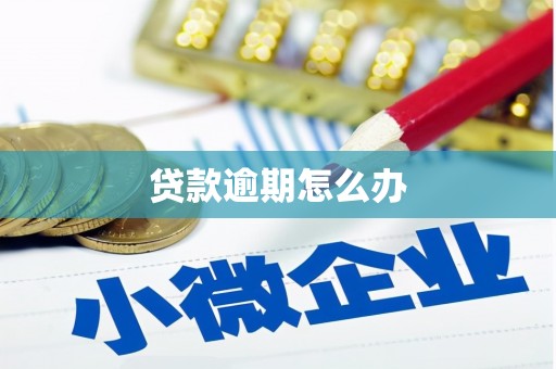 德钦贷款逾期怎么办