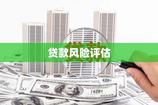 德钦贷款风险评估