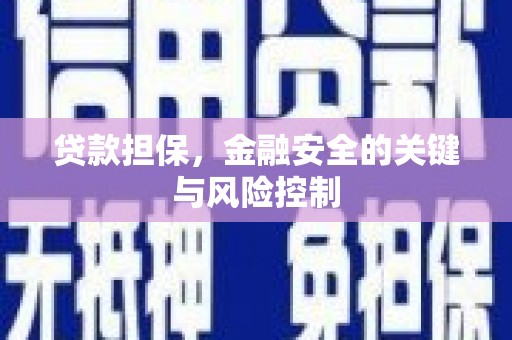 德钦贷款担保，金融安全的关键与风险控制