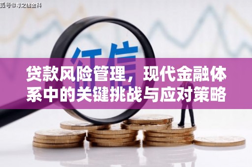 德钦贷款风险管理，现代金融体系中的关键挑战与应对策略