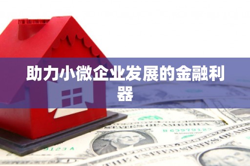 德钦助力小微企业发展的金融利器