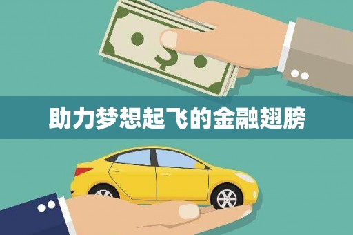 德钦助力梦想起飞的金融翅膀