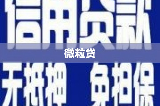 德钦微粒贷