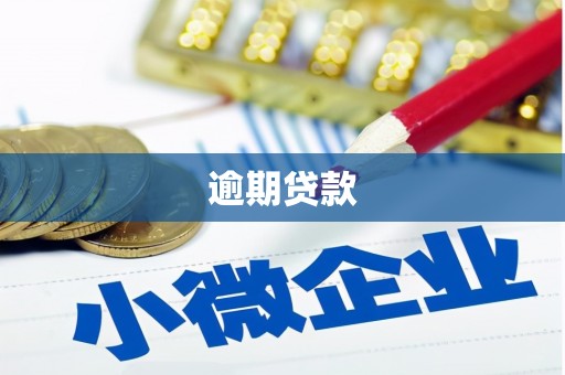 德钦逾期贷款