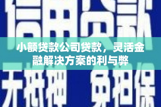 德钦小额贷款公司贷款，灵活金融解决方案的利与弊